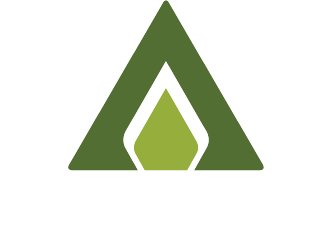 mẫu thiết kế chùa đẹp